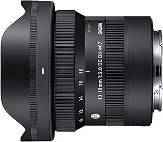 10-18 мм F2.8 DC DN (для крепления E)