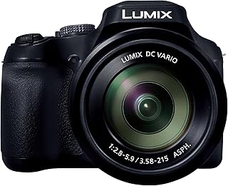 Цифровая фотокамера Panasonic LUMIX FZ80D с возможностью записи фото/видео в формате 4K, оптическим стабилизатором изображения, камера для видеоблогинга с 60-кратным оптическим зумом и широкоугольным объективом 20-1200 мм - DC-FZ80D