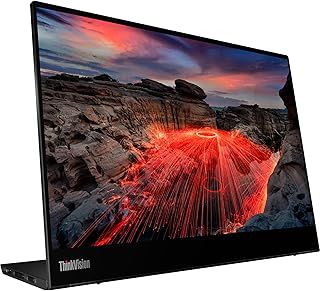 14-дюймовый монитор Lenovo ThinkVision M14t Gen2