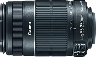 Телеобъектив Canon EF-S 55-250mm f/4.0-5.6 is II (восстановленный).