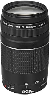 Телеобъектив Canon EF 75-300mm f/4-5.6 III с переменным фокусным расстоянием для зеркальных фотокамер Canon, 6473A003 (восстановленный).