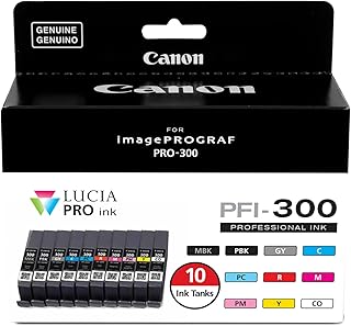 Чернила Canon PFI-300 Lucia PRO, 10 картриджей, совместимы с принтером imagePROGRAF PRO-300, многоцветные, стандартные (4192C007)