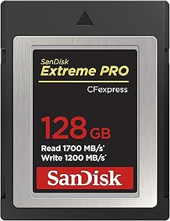 Карта памяти SanDisk Extreme PRO CFexpress Type B 128GB - SDCFE-128G-GN4NN, серебристая.