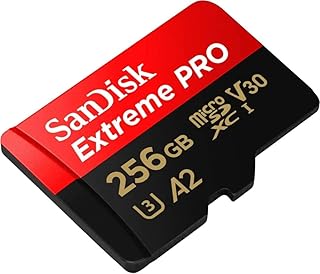 Карта памяти SanDisk Extreme Pro Micro SDXC UHS-I U3 A2 V30 (256 ГБ)