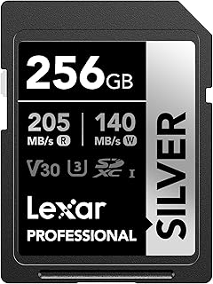 Профессиональная SD-карта Lexar 256 ГБ серебристого цвета, UHS-I, C10, U3, V30, 4K, SDXC-карта памяти со скоростью до 205/140 МБ/с, для профессиональных фотографов, видеооператоров и любителей (LSDSILV256G-BNNNU)