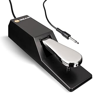 M-Audio SP-2 — универсальная педаль сустейна с фортепианной механикой для MIDI-клавиатур, цифровых пианино и многого другого.