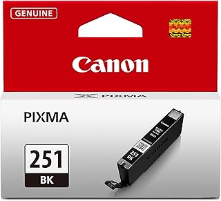 Оригинальный черный чернильный картридж Canon CLI-251, совместимый с принтерами MG6320, IP7220 и MG5420, MX922, MG5520, MG6420, MG7120, iX6820, iP8720, MG7520, MG6620 и MG5620.