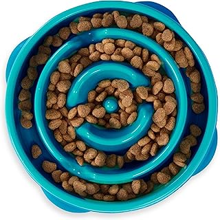 Миска для медленного кормления Outward Hound Fun Feeder Slo Bowl, средняя, ​​на 2 чашки, бирюзовая.